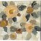 Neutral Floral by Silvia Vassileva 14" x 14" Canvas Wall Art (Set of 2)